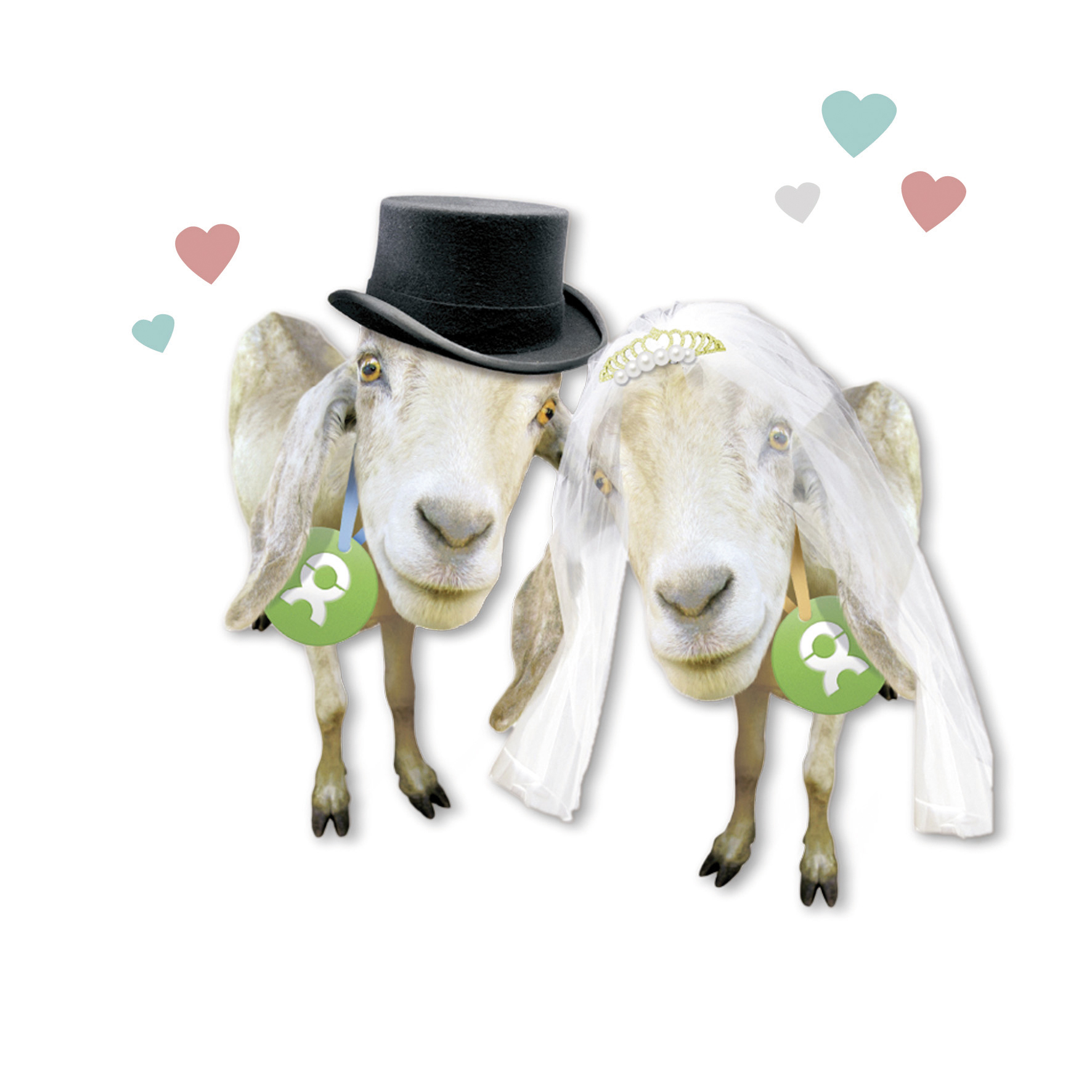 Beispiel Geschenk Spende Hochzeit: Grafik von zwei Ziegen mit Schleier und Zylinder als Hochzeitspaar, umgeben von Herzen