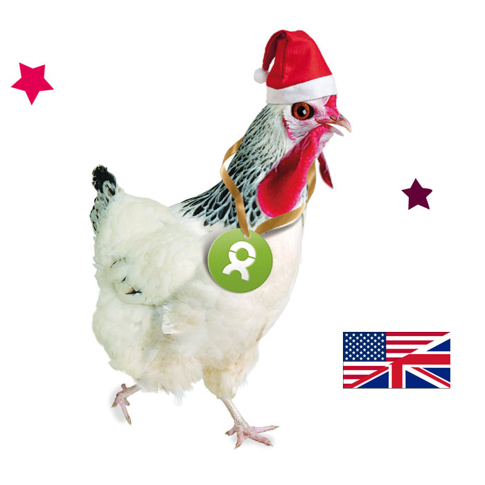 Beispiel Geschenk Spende Chicken Christmas; Weihnachtsgeschenk Huhn in der englischsprachigen Variante