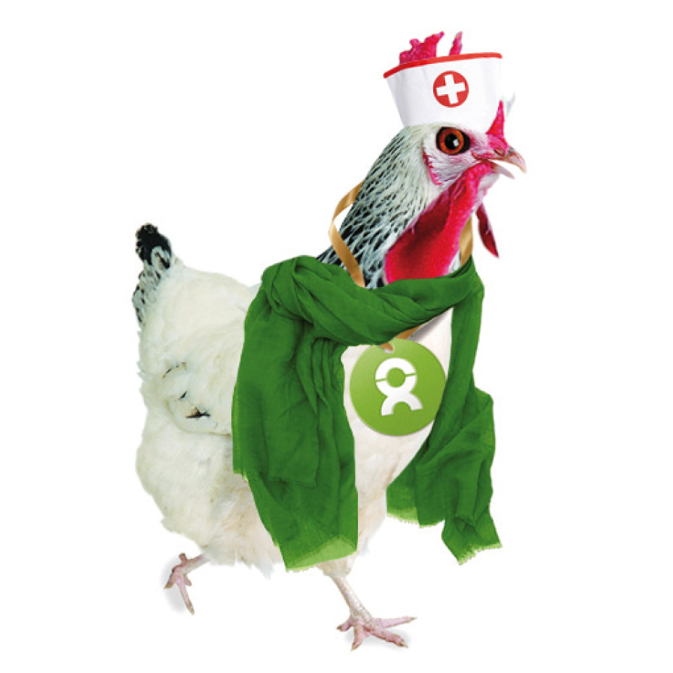 Beispiel Geschenk Spende Grafik von einem Huhn mit Krankenpfleger*innen-Haube und Schal