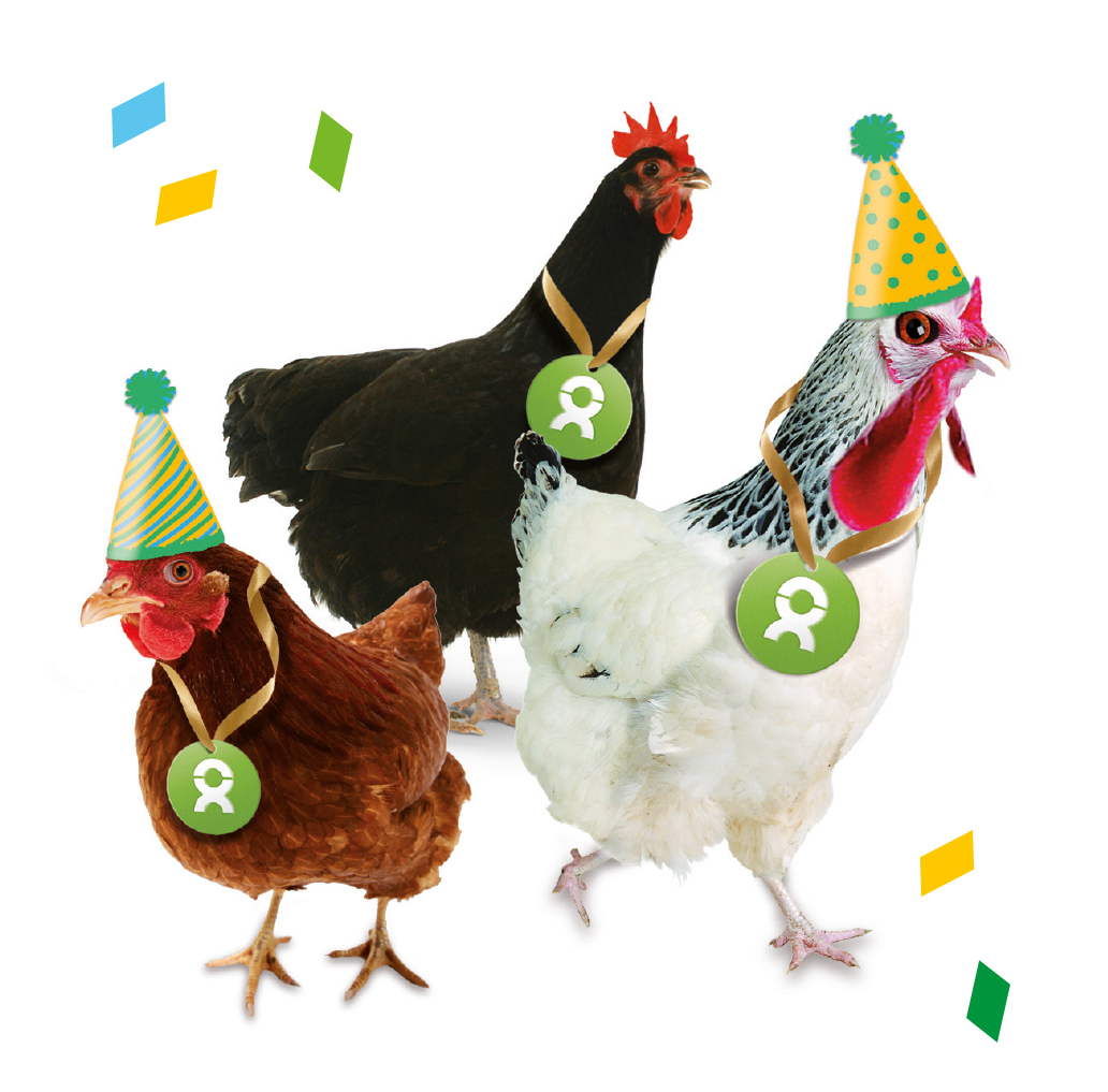 Beispiel Geschenk Spende: Grafik von einem weiß-, braun- und schwarz-gefiederten Huhn mit Partyhüten und Konfetti
