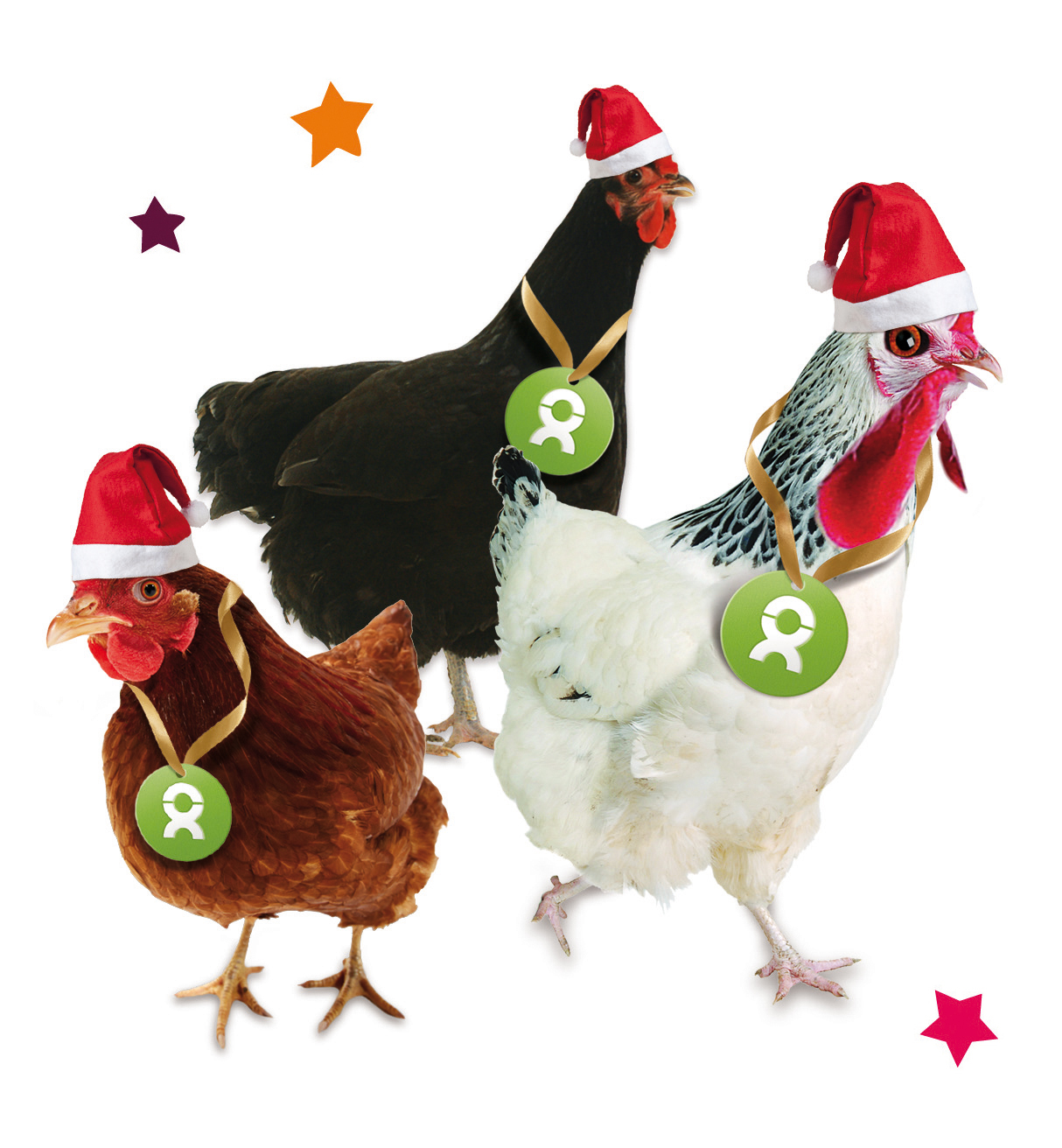 Beispiel Geschenk Spende: Grafik von einem weiß-, braun- und schwarz-gefiederten Huhn mit Weihnachtsmützen und Sternen