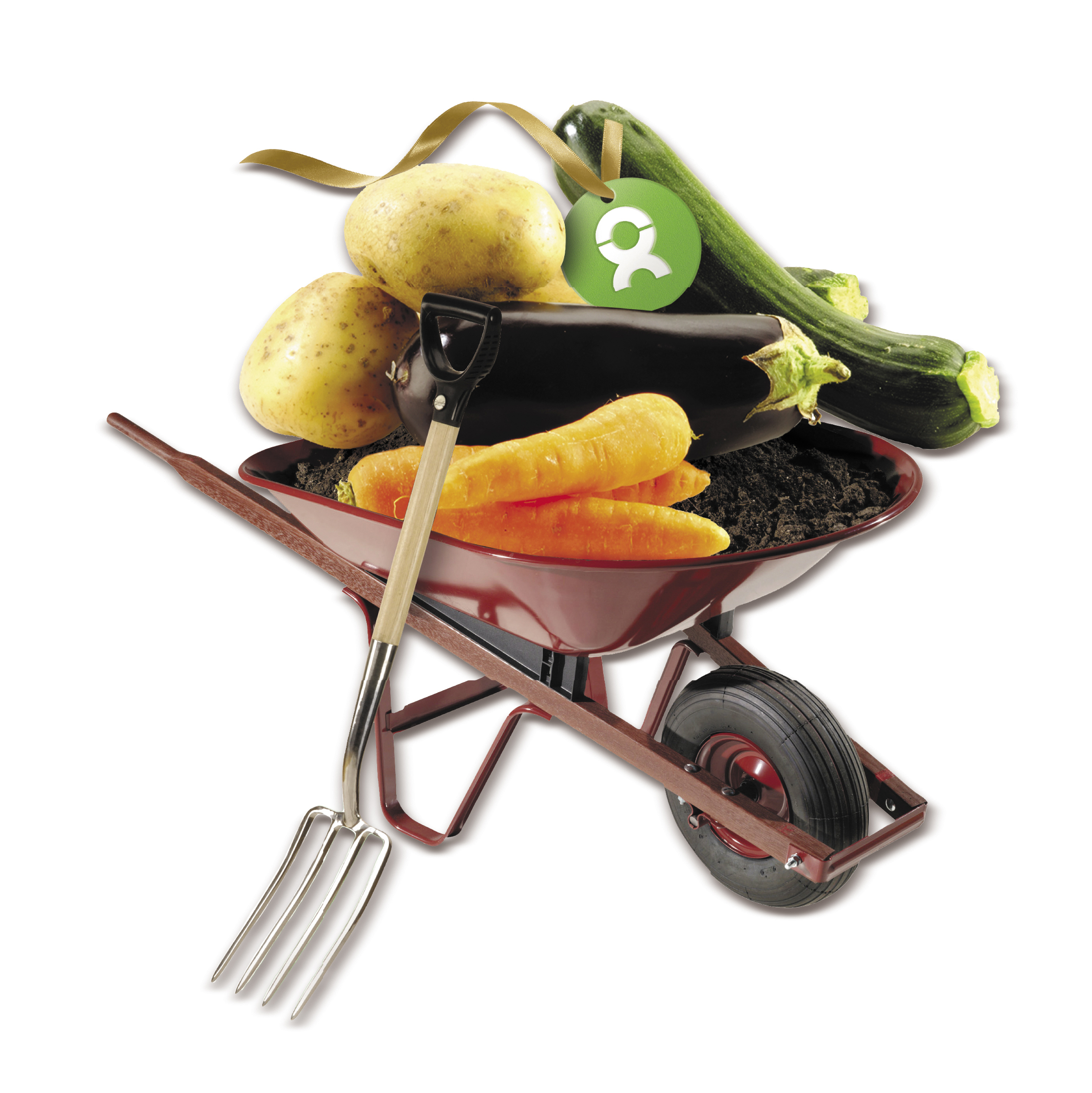 Beispiel Geschenk Spende: Grafik einer Schubkarre mit Gemüse und Kompost gefüllt. Symbolisch für eine gute Ernte durch verbesserte Anbaumethoden, das richtige Saatgut und Arbeitsgerät.