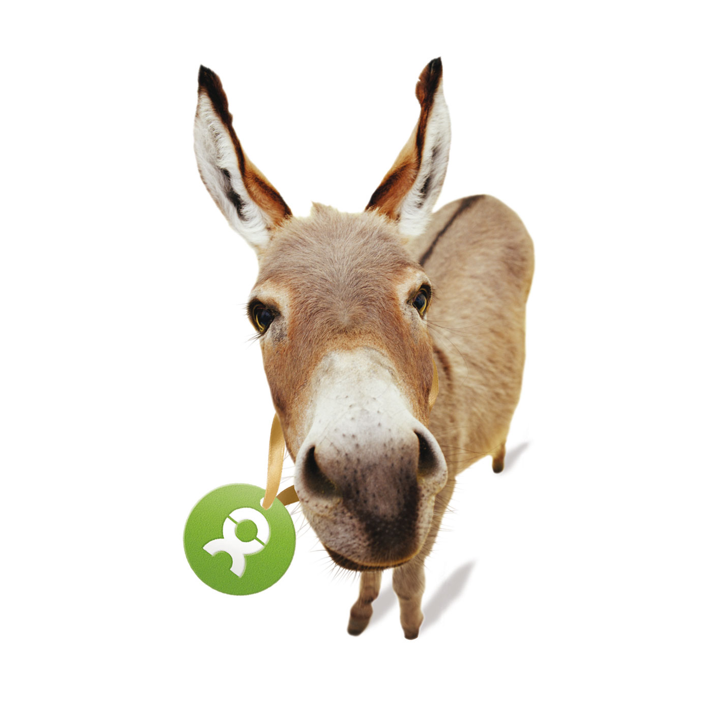 Beispiel Geschenk Spende Esel mit Oxfam-Ettiquette um den Hals