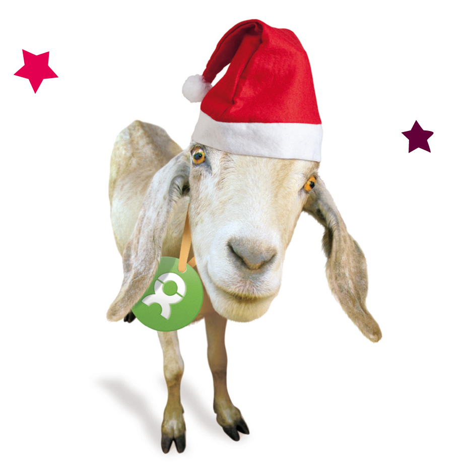 Beispiel Geschenk Spende Ziege: Grafik einer Ziege mit roter Weihnachtsmütze auf, umgeben von bunten Sternen