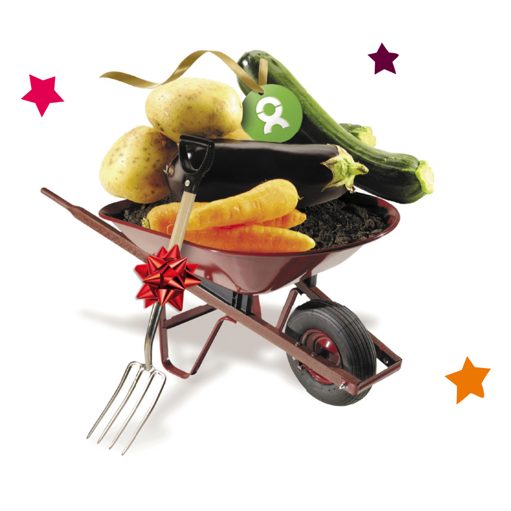Beispiel Geschenk Spende Weihnachten: Grafik einer Schubkarre mit Gemüse und Kompost gefüllt. Die Schubkarre ist zudem mit einer roten Geschenkschleife verziert und von bunten Sternen umrahmt. 