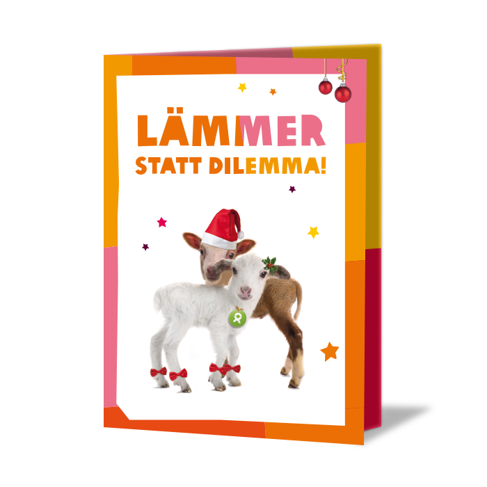 Festlich verzierte Weihnachtskarte mit Aufdruck: Lämmer statt Dilemma! Darunter zwei Lämmer, die kuscheln und Weihnachtsmützen tragen