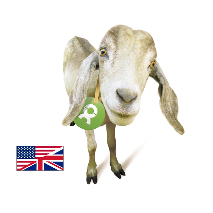 Beispiel Geschenk Spende Goat: Grafik einer Ziege und Flagge von Großbritannien (englischsprachige Variante)