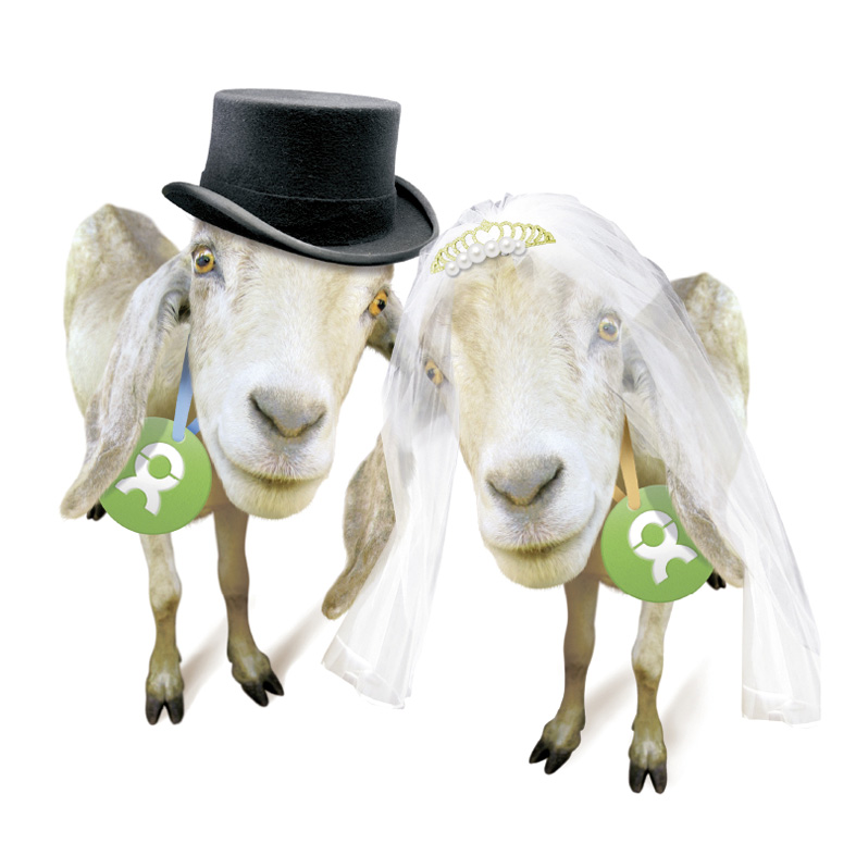 Beispiel Geschenk Spende Ziegenpaar: Grafik von zwei Ziegen mit Schleier und Zylinder als Hochzeitspaar