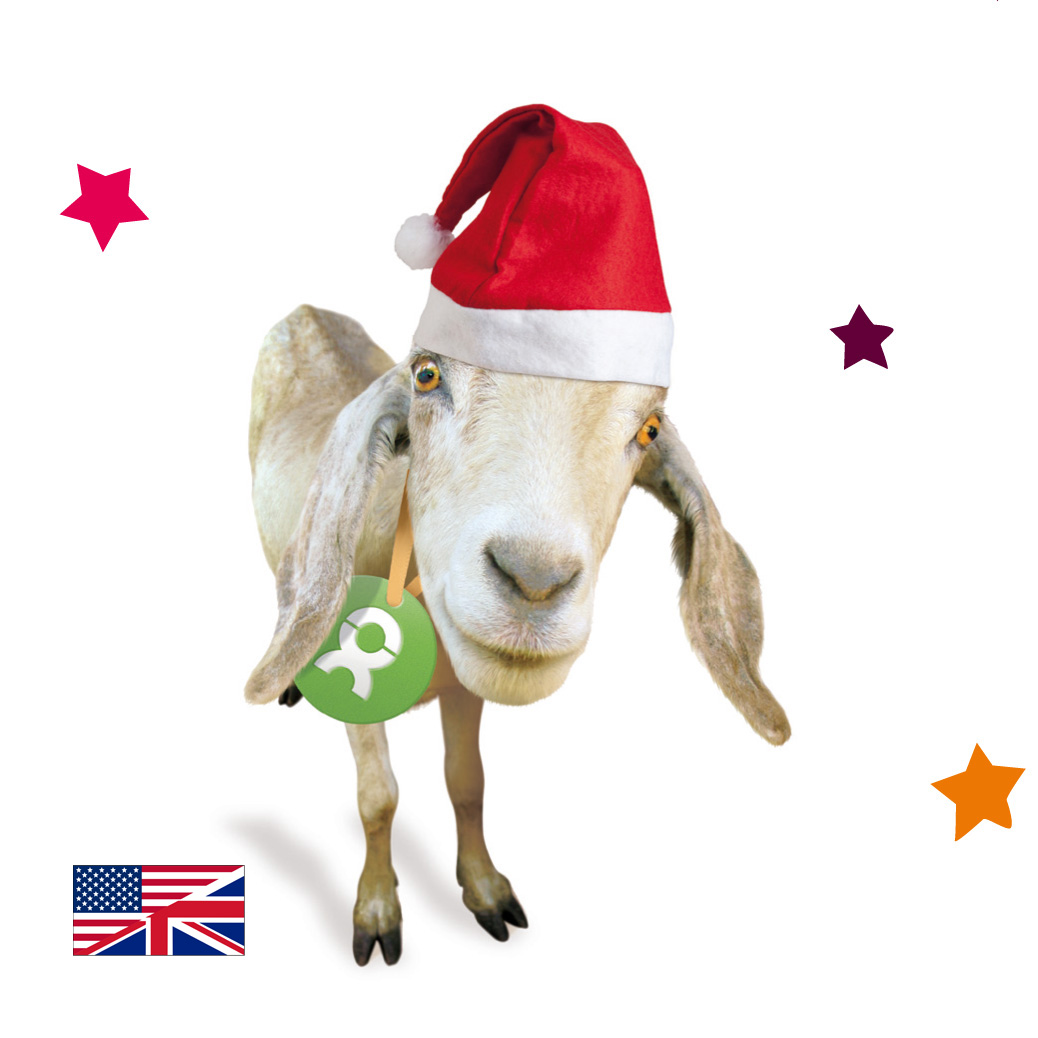 Beispiel Geschenk Spende Weihnachten Goat: Grafik einer Ziege mit Weihnachtsmütze und bunten Sternen (englischsprachigen Variante)