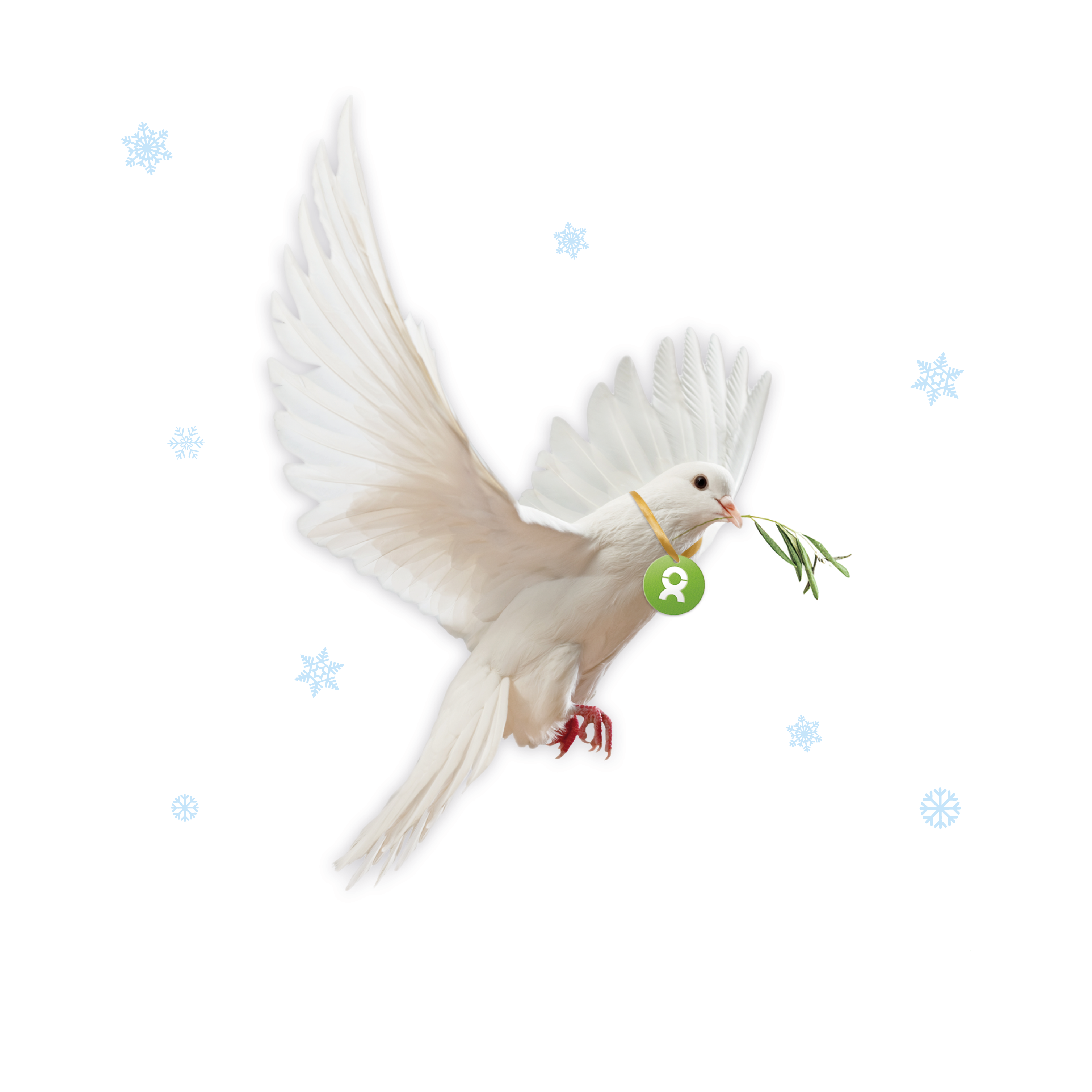 Beispiel Geschenk Spende Weihnachten Frieden: Grafik einer weißen Taube, die einen Olivenzweig im Schnabel trägt